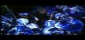 DAVE WECKL BAND