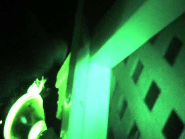 Lizard thumping