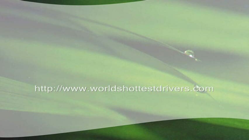 Choosing the Right Golf Driver For You